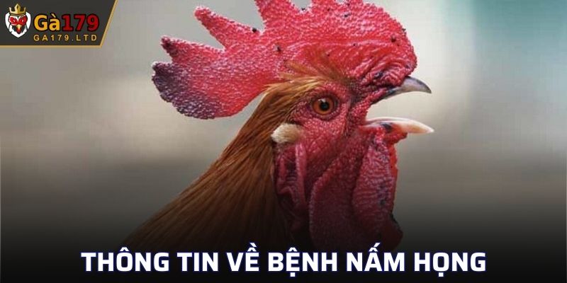 Bệnh Nấm Họng Ở Gà