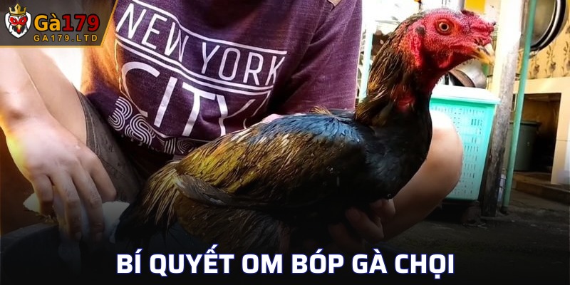 Bí Quyết Om Bóp Gà Chọi