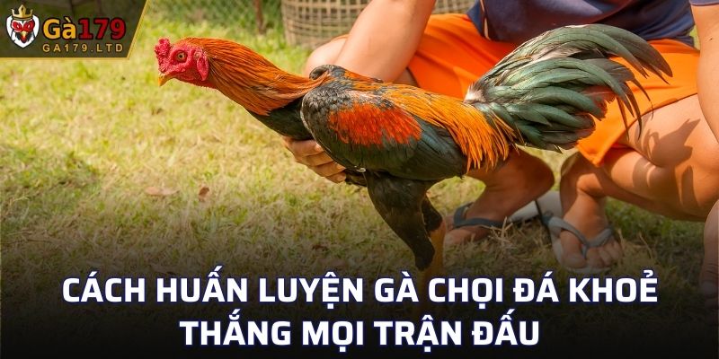 Cách Huấn Luyện Gà Chọi