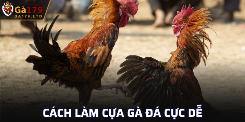 Cách Làm Cựa Gà Đá