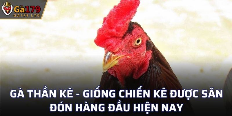 Gà Thần Kê