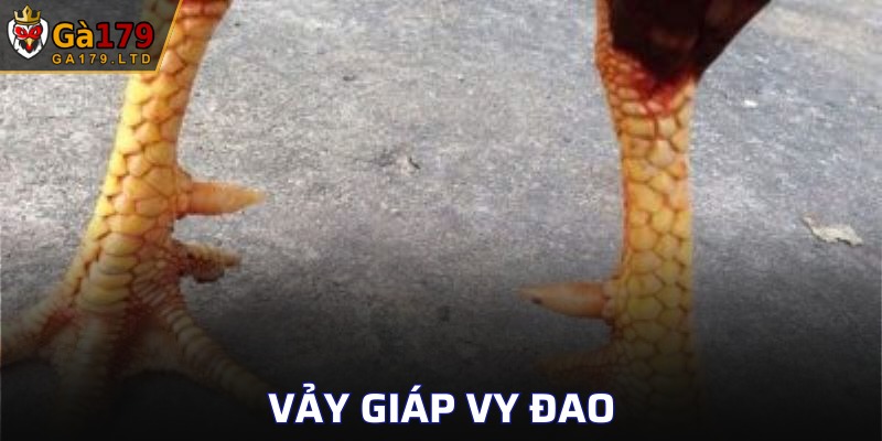 Vảy Giáp Vy Đao